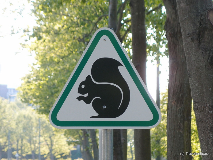 'Beware of the squirrel' in Bük, Hungary