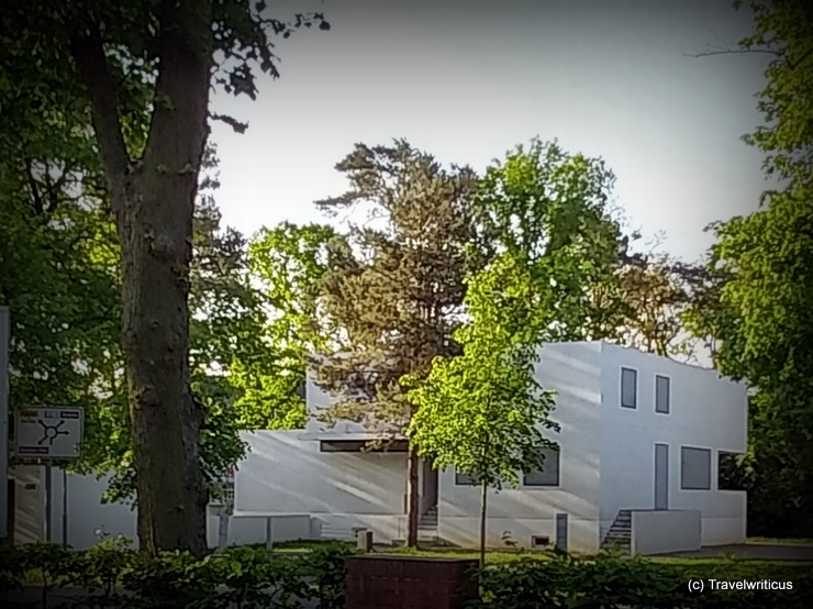 Masters' houses in Dessau-Roßlau