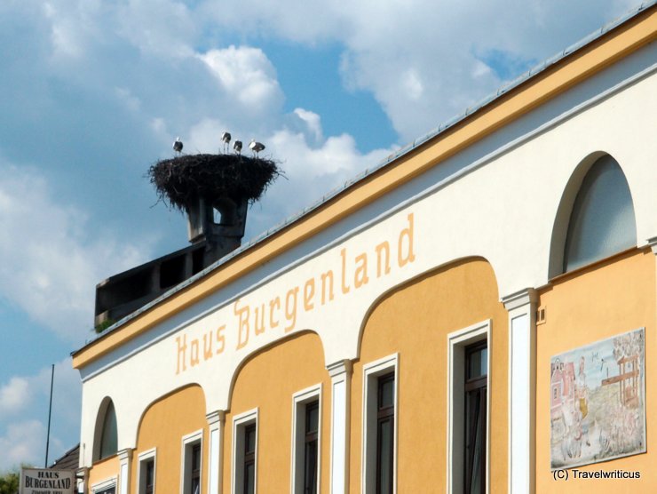 Stork's nest in Deutschkreutz, Austria