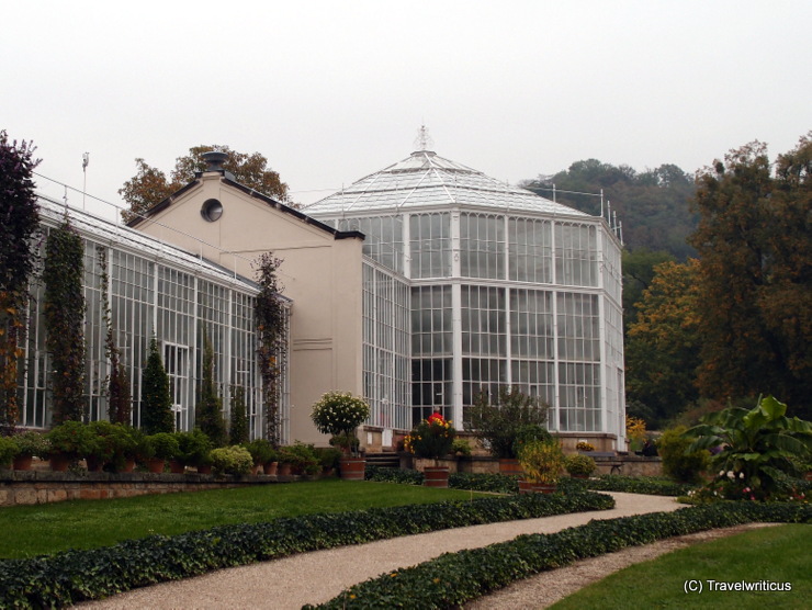 Palm house of Pillnitz Palace in Dresden, Germany