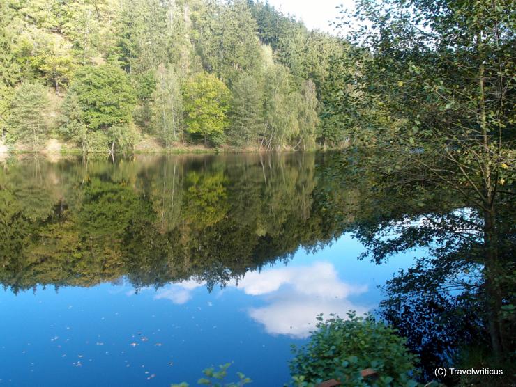 Pond at the Selke Valley Railway in Harz, Germany