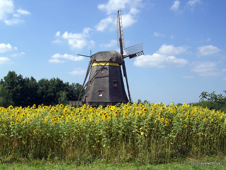 Windmill at the Hessenpark in Neu-Anspach, Germany