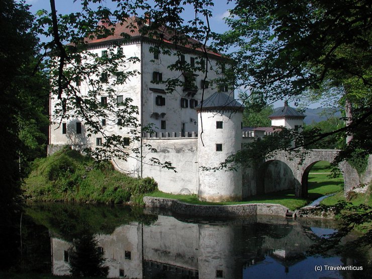 View of Grad Snežnik at a pond