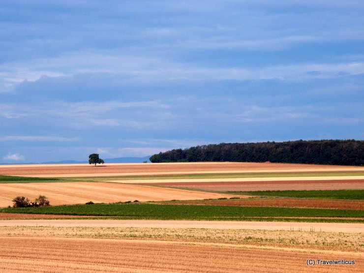 Landscape near Kroatisch-Minihof, Austria