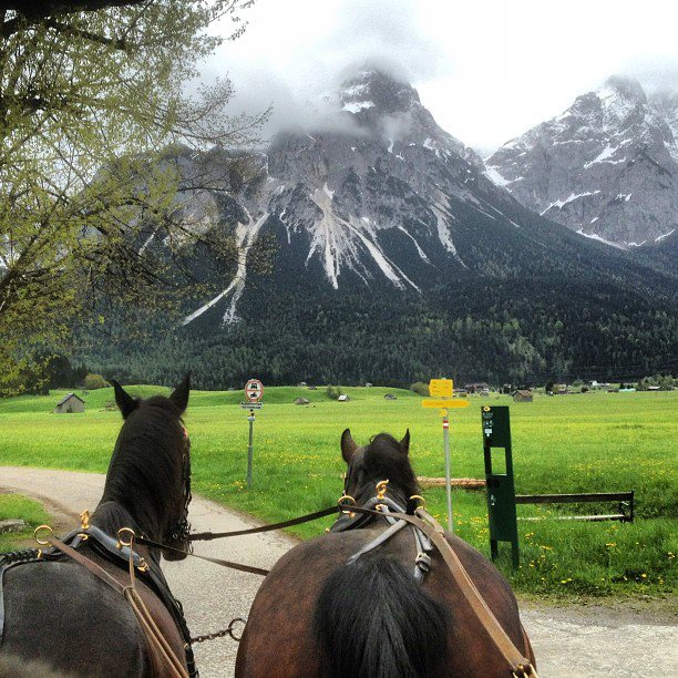 Coach trip in Lermoos, Austria