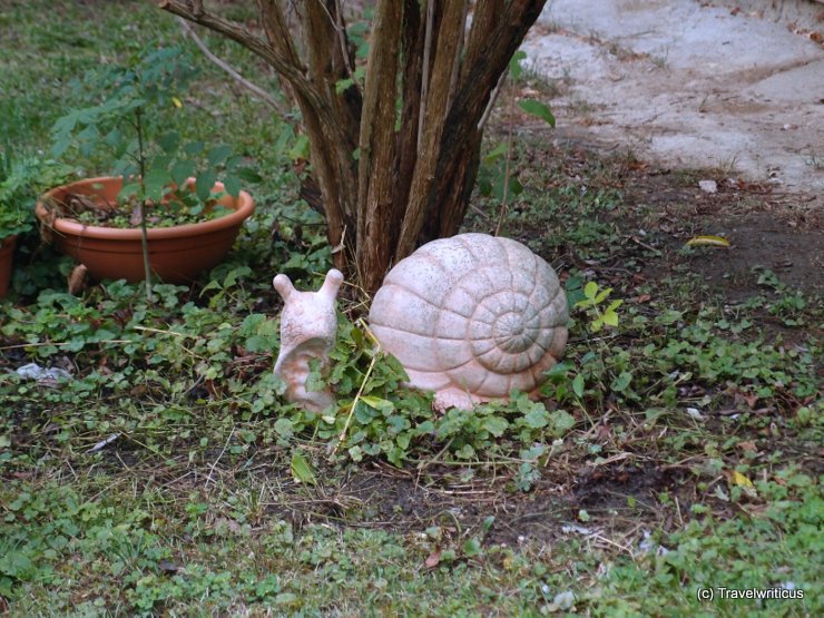 Snail at the Kunsttischlerei Potzmann, Austria