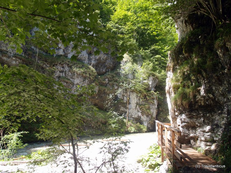 Gorge at the Mendlingtal, Austria