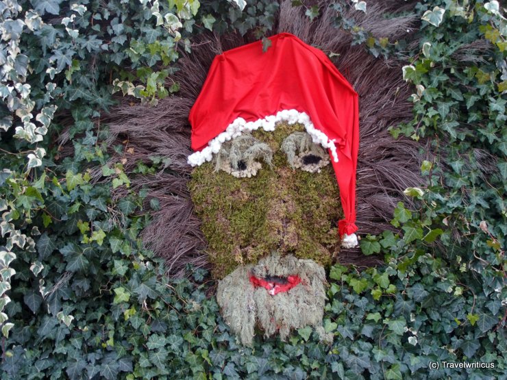 Face of Santa Claus made of moss