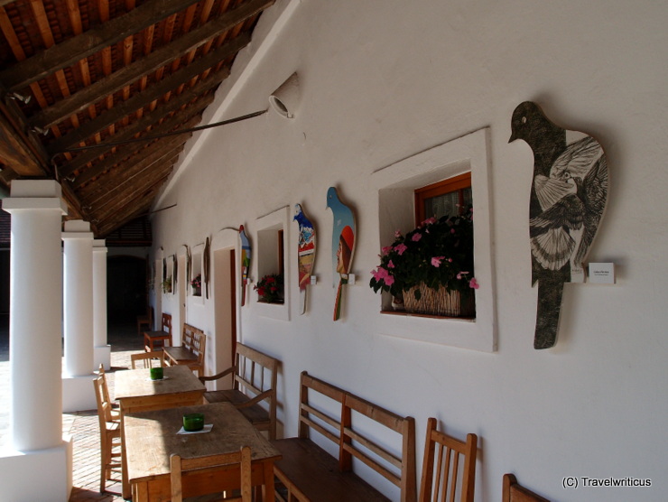 Gallery of Doves at a vineyard estate in Poysdorf, Austria