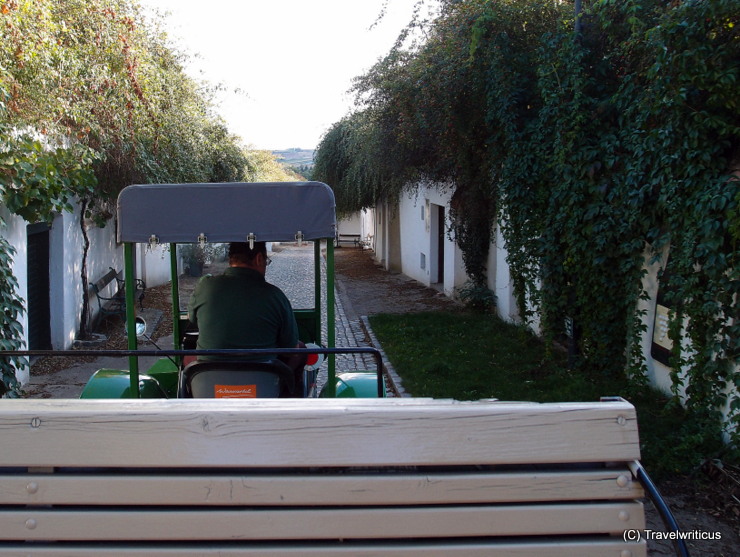 On a farm tractor tour through the wine cellar lanes of Poysdorf, Austria