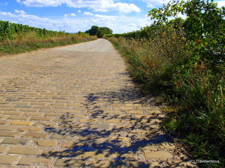 Yellow brick road made of Šatov clinker in Poysdorf, Austria