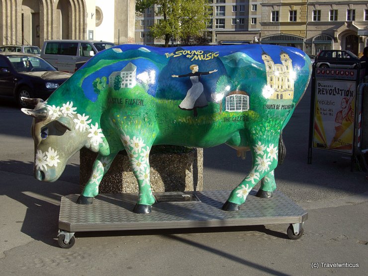 The Sound of Music cow