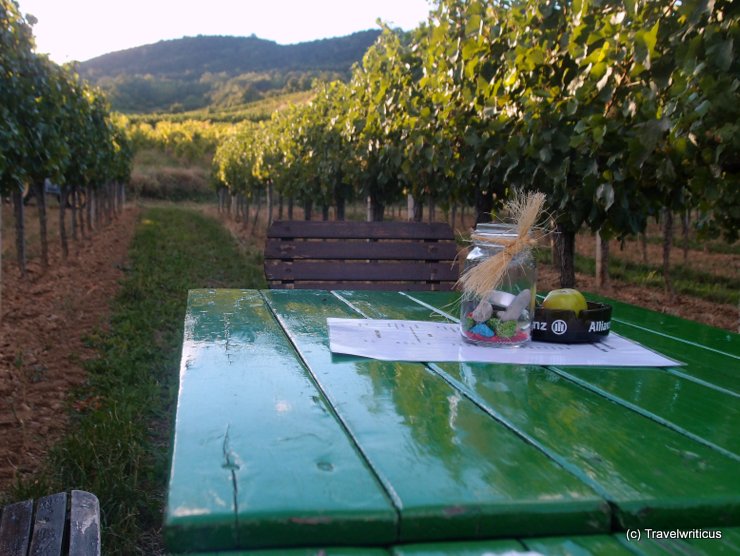 Table at the Genussmeile south of Vienna, Austria