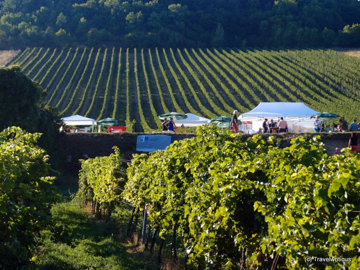 Tents at the Genussmeile south of Vienna, Austria