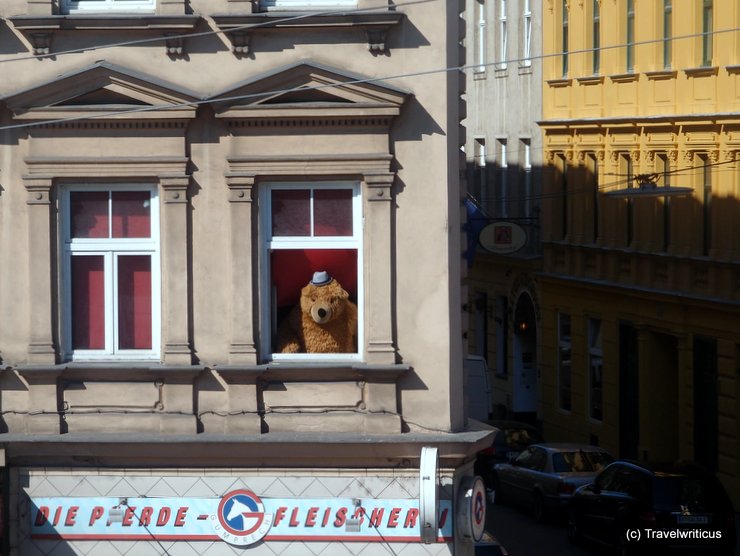 Bear at a window in Vienna, Austria