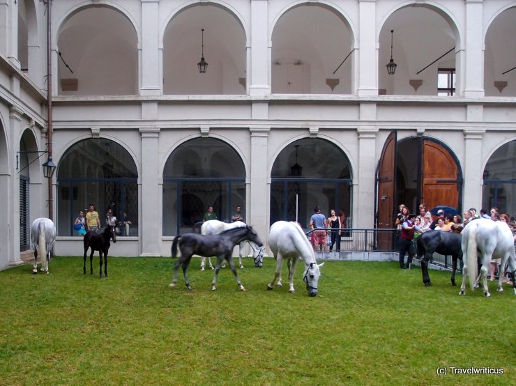 Home of the Lippizaner horses in Vienna, Austria: The Stallburg