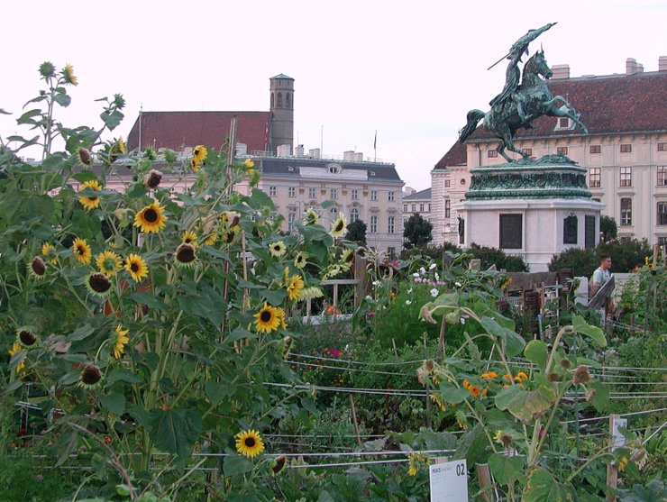 Sunflowers in front of Archduke Charles